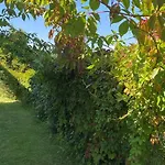 Apartment Pod Zamczyskiem