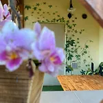 Pod Zamczyskiem Apartment Sromowce Wyzne