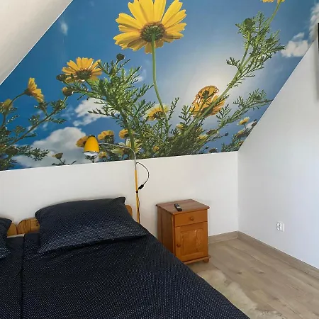 Pod Zamczyskiem Daire *