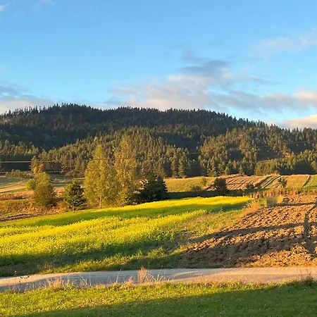 Daire Pod Zamczyskiem Sromowce Wyzne