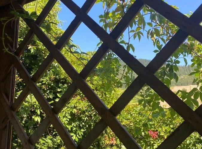 Pod Zamczyskiem Apartament