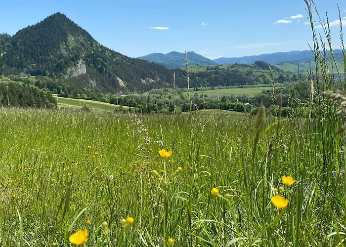 Pod Zamczyskiem Sromowce Wyzne
