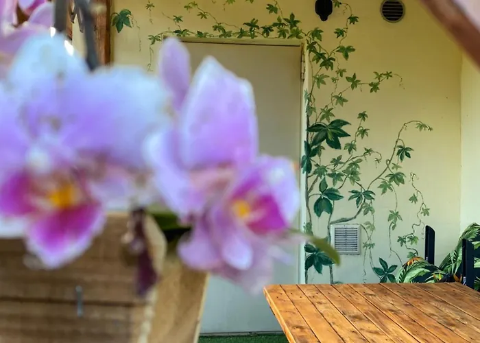 Pod Zamczyskiem Apartament Sromowce Wyzne