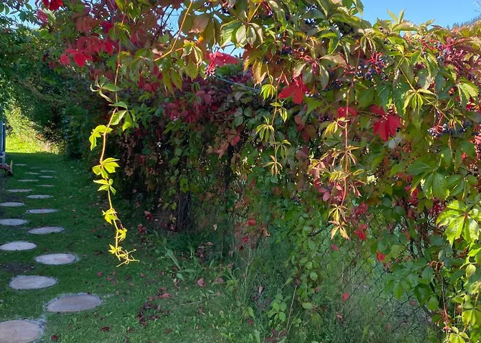 Pod Zamczyskiem * Sromowce Wyzne