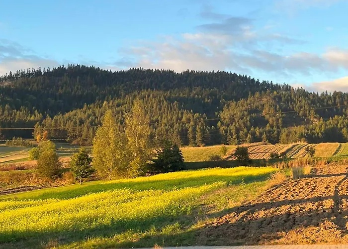 Apartament Pod Zamczyskiem Sromowce Wyzne